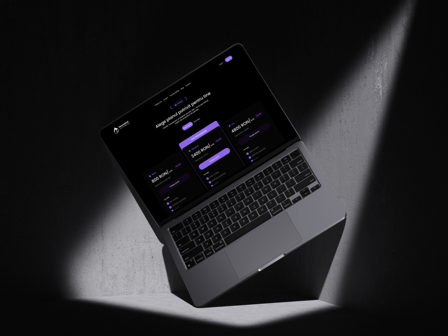 SecondVet Website - Gallery 2