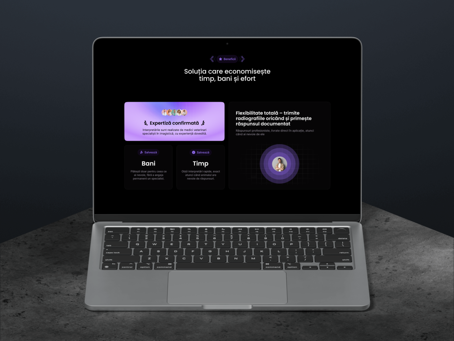 SecondVet Website - Gallery 3